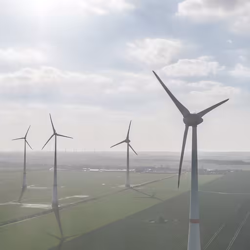 Eine freie Fläche mit Windrädern